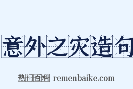 意外之灾造句是什么意思的图片